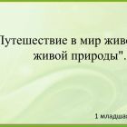 Презентация PPT.jpg